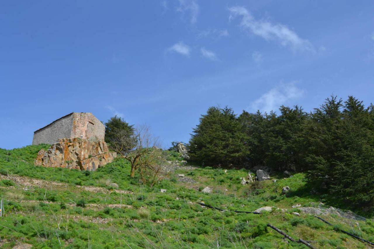 Casa Panoramica Castelverde San Mauro Castelverde Εξωτερικό φωτογραφία